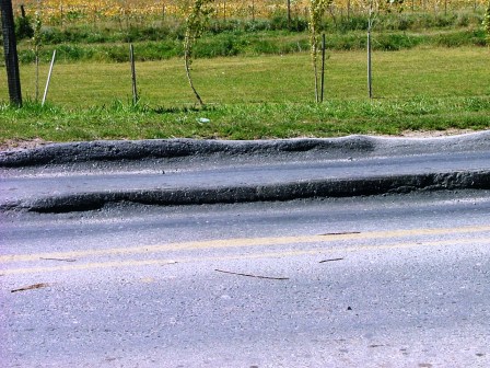 El Concejo Deliberante reclamó por obras en la Ruta 30 El Concejo Deliberante reclamó por obras en la Ruta 30
