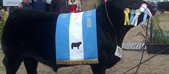 La Cabaña juarense Tres Marías trajo el primer lugar de la Raza Angus La Cabaña juarense Tres Marías trajo el primer lugar de la Raza Angus