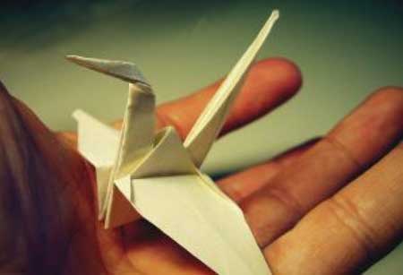 Reflexiones: Pjaro en mano
