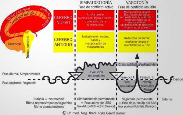 Hablemos de La Nueva Medicina Germánica Hablemos de La Nueva Medicina Germánica