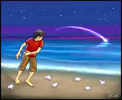Reflexiones - Estrellas de mar