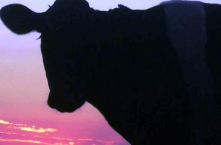 Las Entidades Rurales fijaron su posición respecto al aumento de Tasas Las Entidades Rurales fijaron su posición respecto al aumento de Tasas