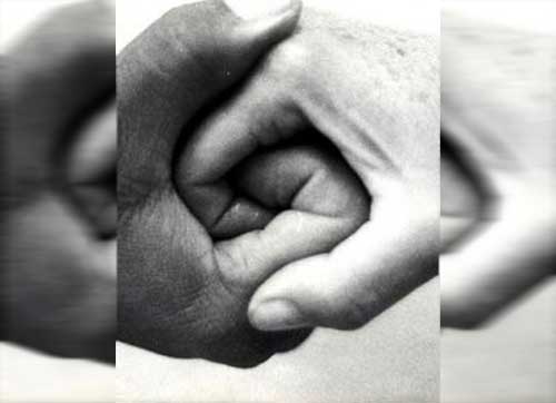 Terapia de la confianza Terapia de la confianza