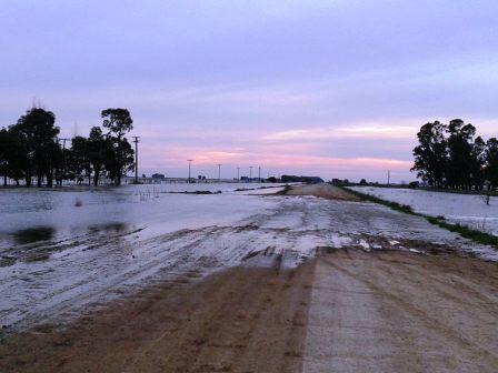 La cría y el manejo ante el exceso de agua La cría y el manejo ante el exceso de agua
