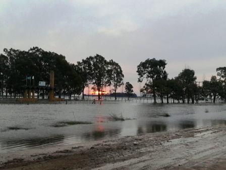 El campo bajo el agua El campo bajo el agua
