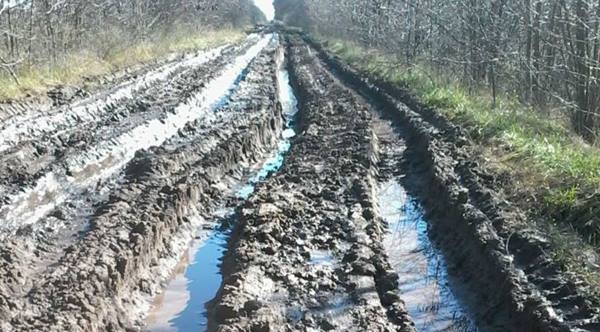 Nación giraría fondos a la Cooperativa Vial para reparar caminos rurales Nación giraría fondos a la Cooperativa Vial para reparar caminos rurales