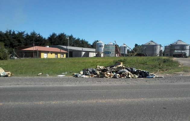 Descargan basura en un sector de banquinas de la 226 Descargan basura en un sector de banquinas de la 226