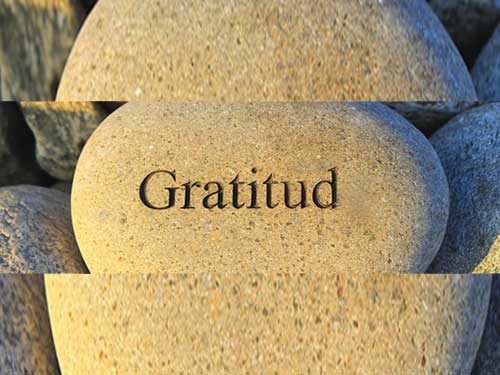 Gratitud compartida Gratitud compartida